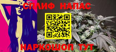 mdma Новозыбков
