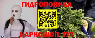 альфа пвп Новодвинск