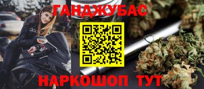 альфа пвп Новодвинск