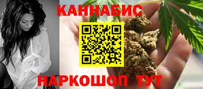 альфа пвп Новодвинск